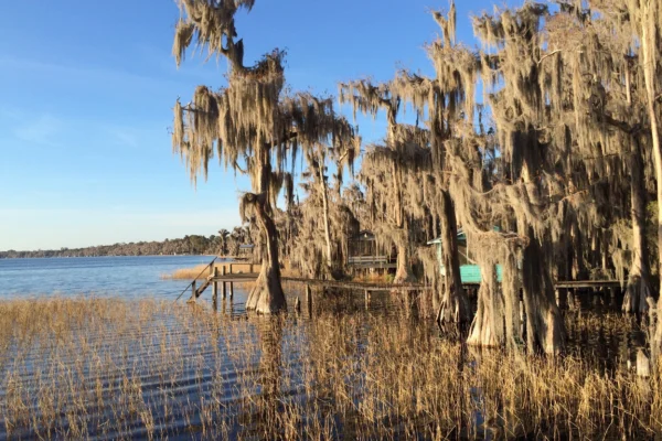 The Beauty of Lake Melrose