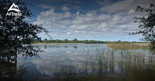 How Big is Lake Fay in Florida?