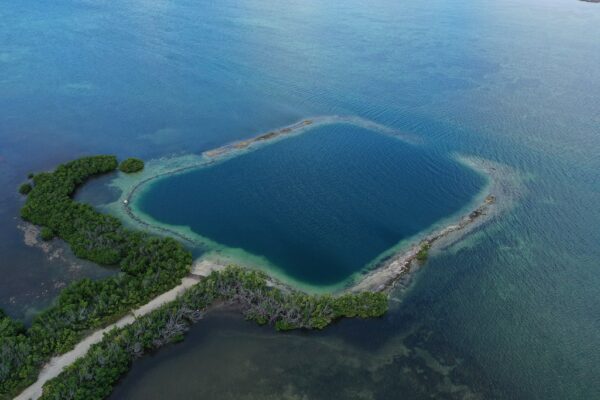 Where is Horseshoe Beach, Florida?