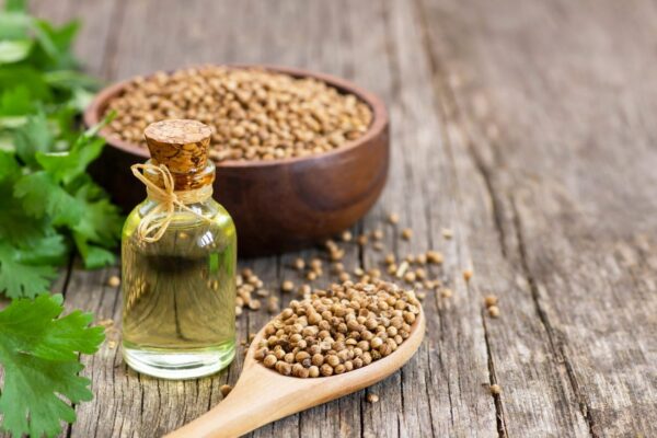 Koriandri: The Complete Guide to the World’s Most Flavorful and Healthy Herb